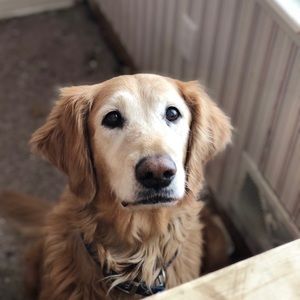 Meet your Posher, Logan